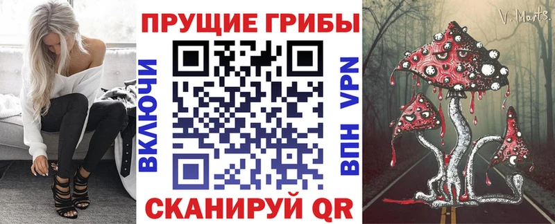 Галлюциногенные грибы Psilocybe сайты даркнета формула Новый Оскол наркошоп